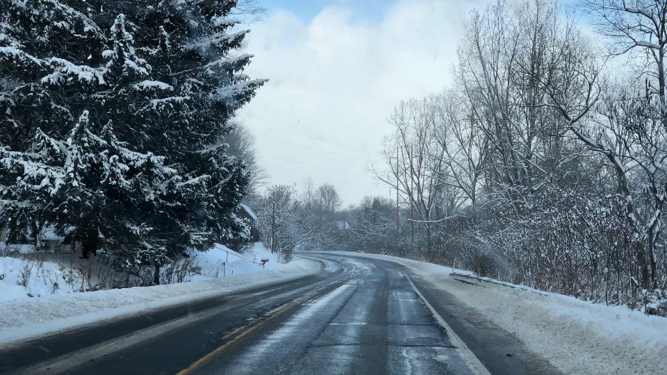A two-lane road through snow-covered trees on a winter day.